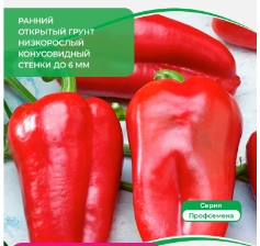 фаст феррари фаст феррари