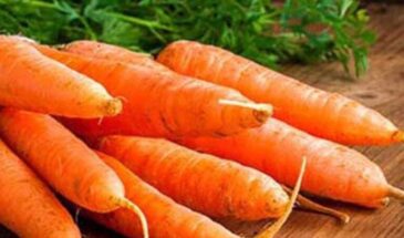 Июньская морковь посев выращивание